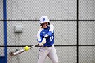 Softball vs Babson  Wheaton College Softball vs Babson College. - Photo by Keith Nordstrom : Wheaton, Softball, Babson, NEWMAC